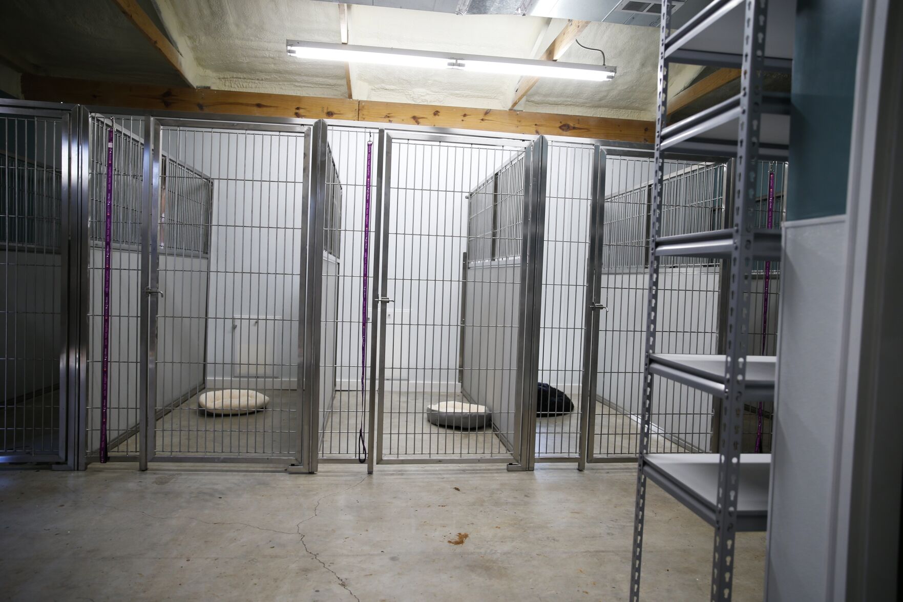 Shelter